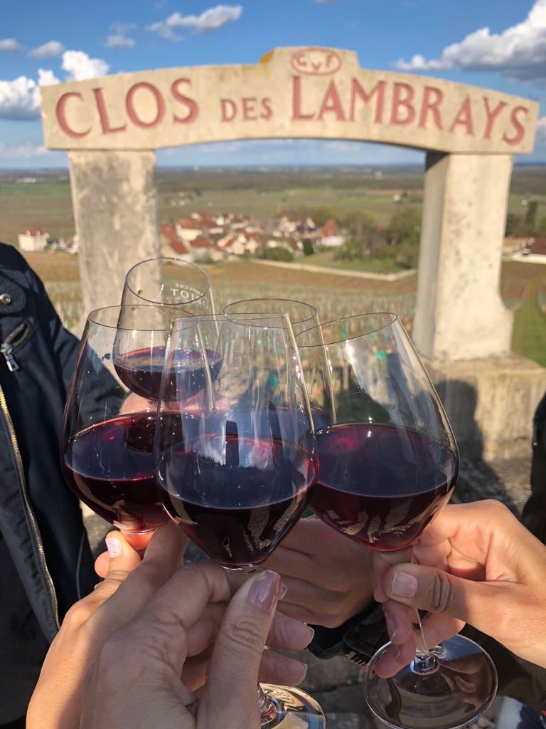 Wine tour in Burgundy